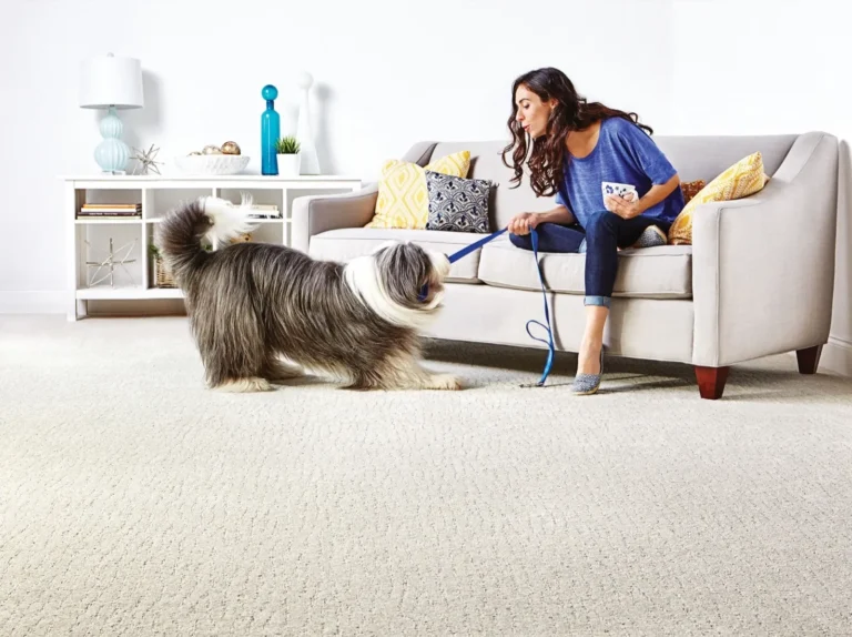 Keep Going E0934 00103 SnowCream DogPlay | Lasting Luxury Flooring